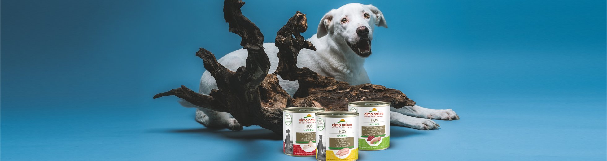dog food header banner (